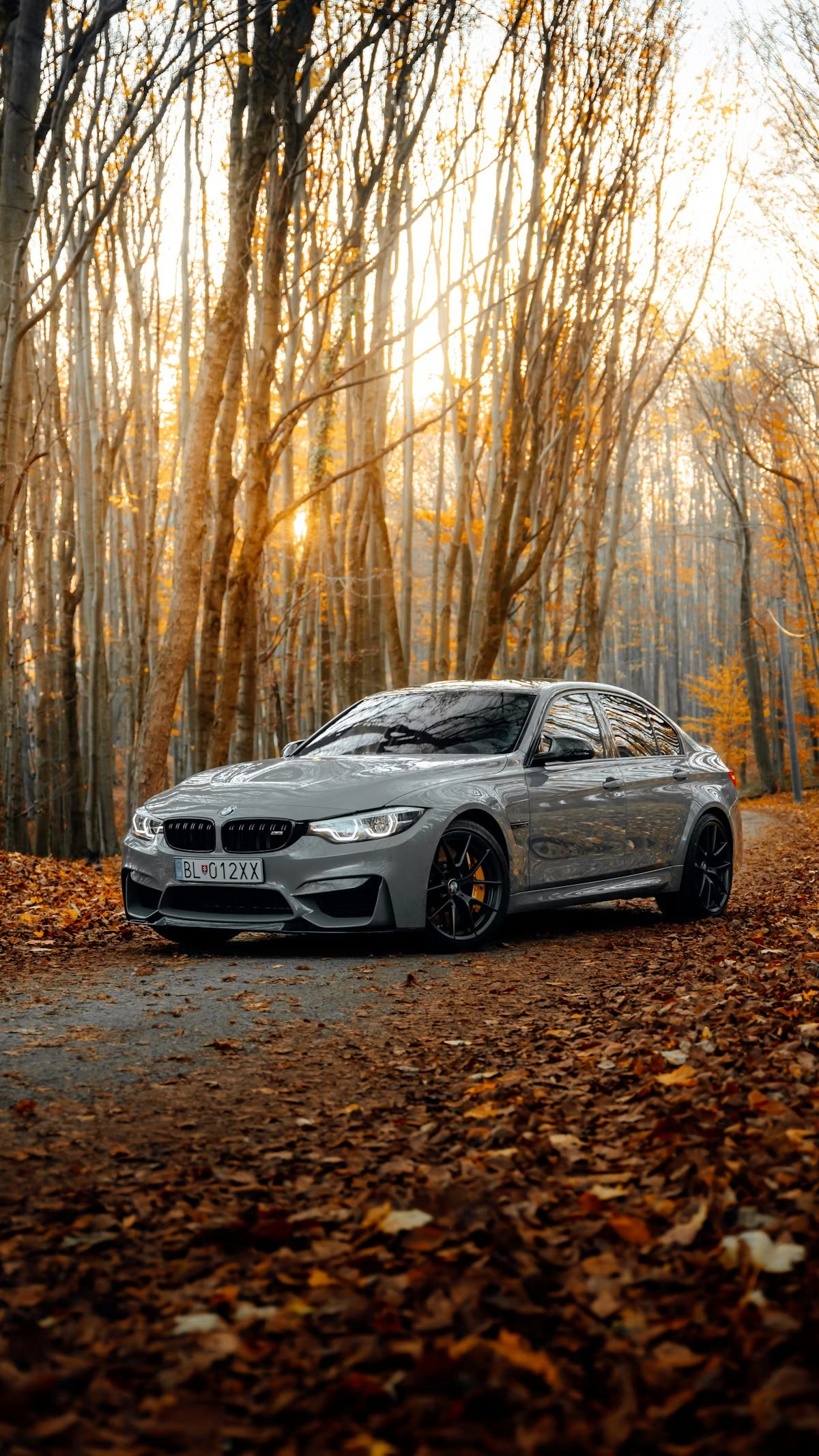 ALL BMW